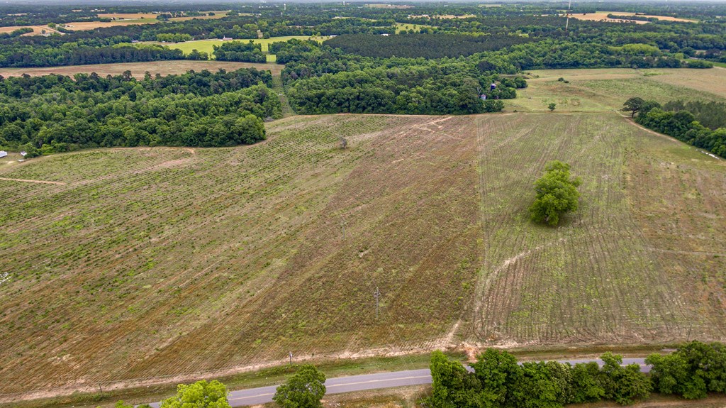 3000 Omussee Road Dothan, AL 36303 - Photo 14 of 15