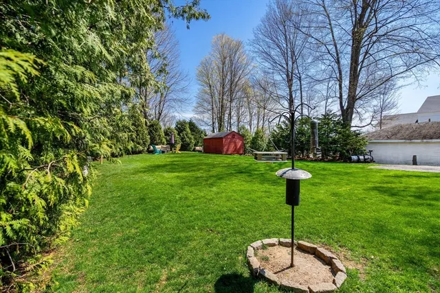 a swimming pool with lots of tress in front of it