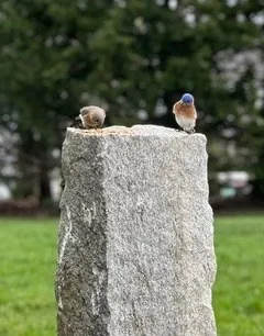 an aerial view of lake and residential houses with outdoor space