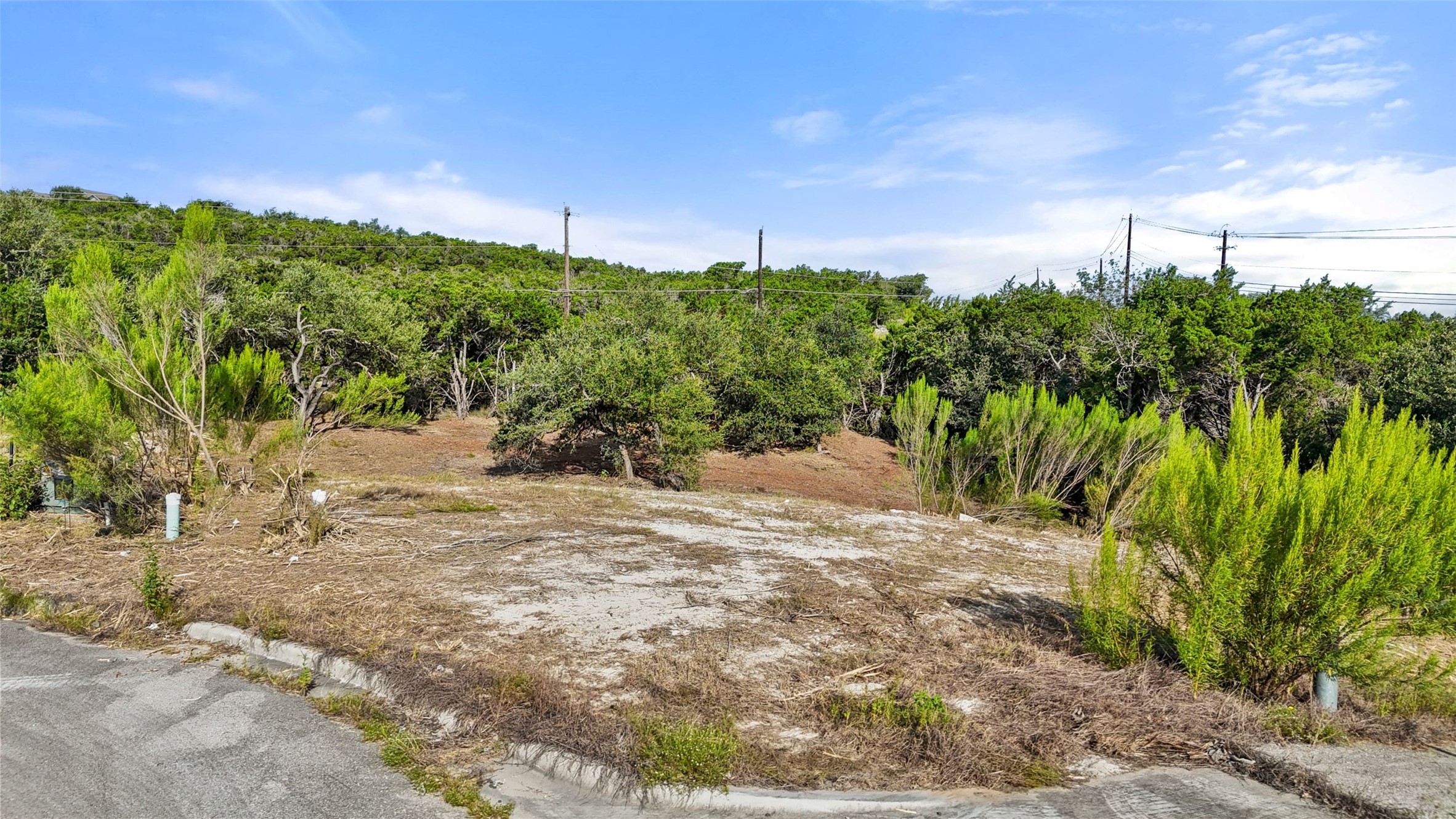 210 Lodestone Cove Austin, TX 78738 - Photo 9 of 32