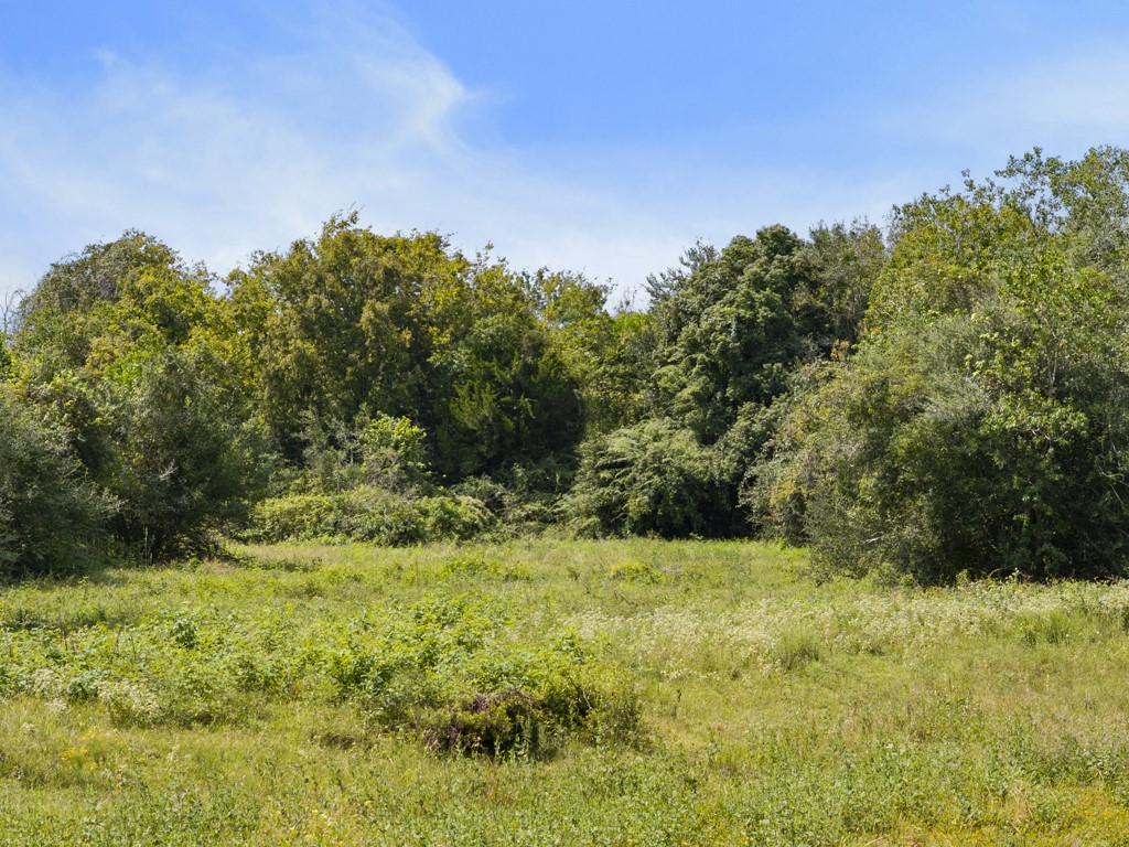 0 Tower Road Santa Fe, TX 77517 - Photo 11 of 45 a view of a yard with a tree