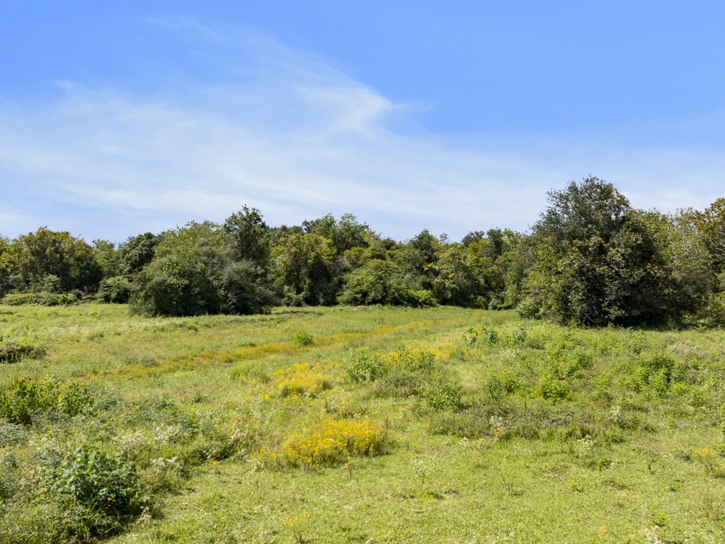 0 Tower Road Santa Fe, TX 77517 - Photo 13 of 45 a view of a field with an trees