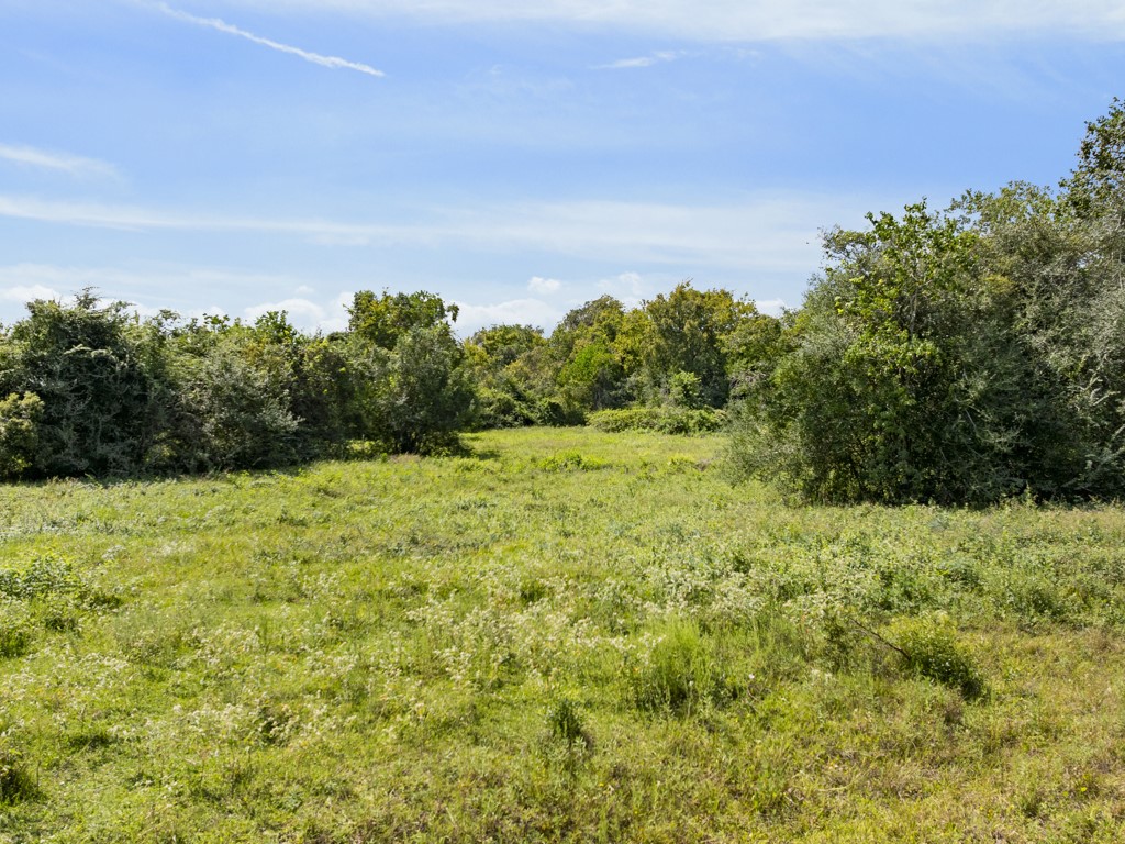 0 Tower Road Santa Fe, TX 77517 - Photo 15 of 45 a view of a yard with a tree