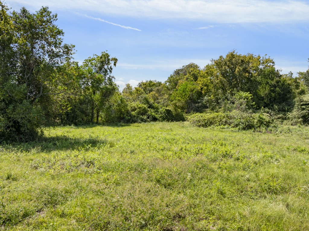 0 Tower Road Santa Fe, TX 77517 - Photo 16 of 45 a view of a yard with a tree