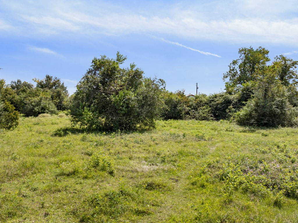 0 Tower Road Santa Fe, TX 77517 - Photo 17 of 45 a view of a large yard with lots of green space