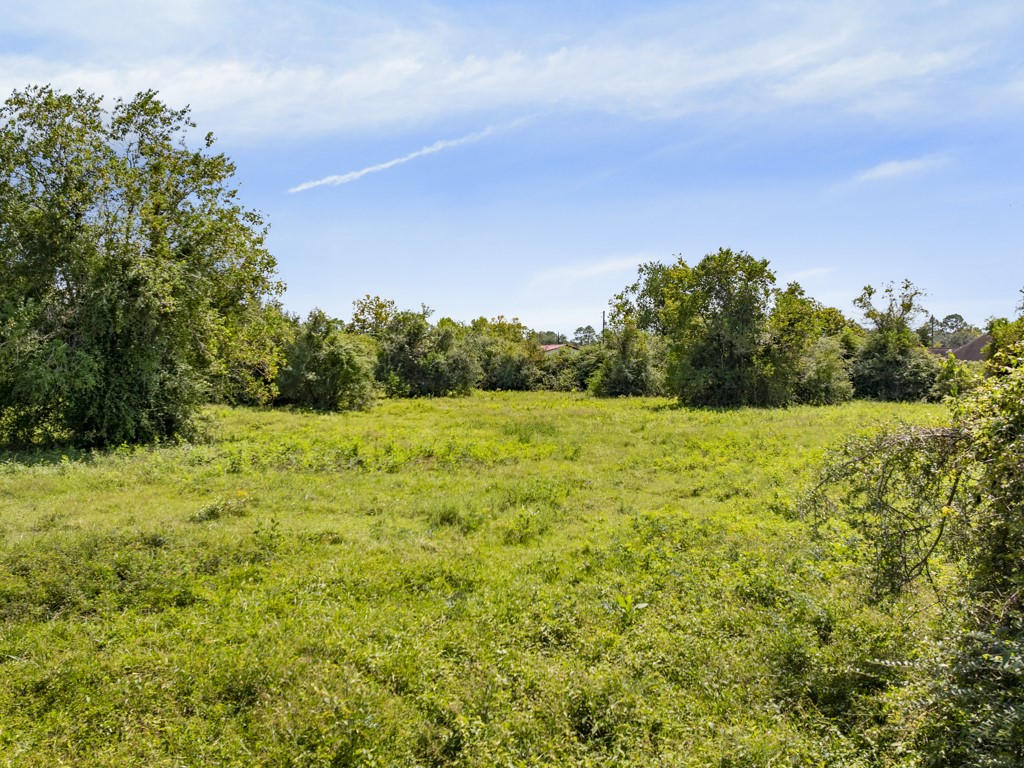 0 Tower Road Santa Fe, TX 77517 - Photo 18 of 45 a view of a green yard
