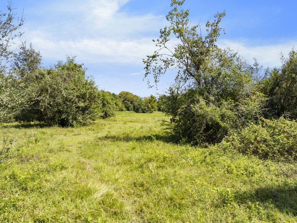 0 Tower Road Santa Fe, TX 77517 - Photo 20 of 45 a view of lake view
