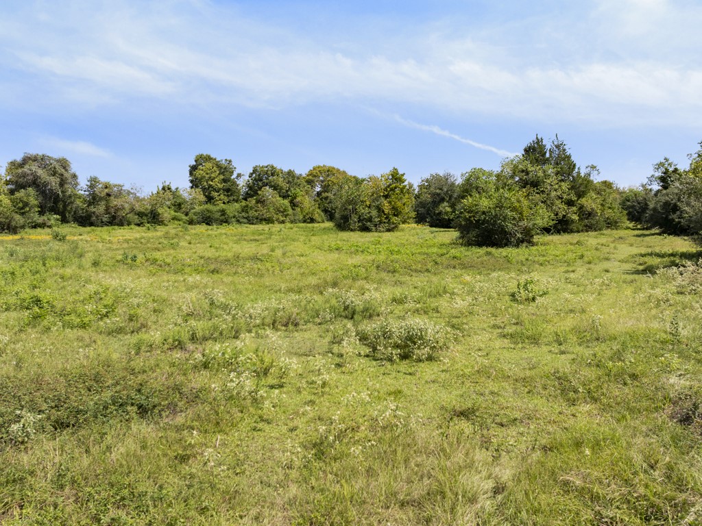0 Tower Road Santa Fe, TX 77517 - Photo 21 of 45 a view of a field with an ocean and trees in the background