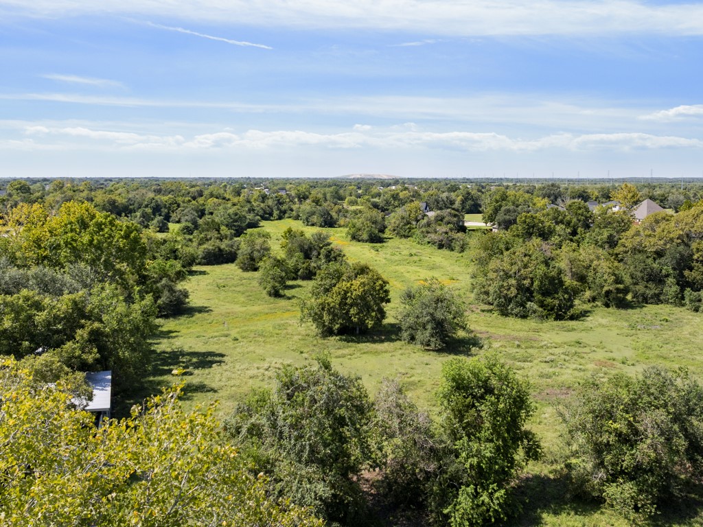 0 Tower Road Santa Fe, TX 77517 - Photo 40 of 45 a view of a big yard with lots of green space