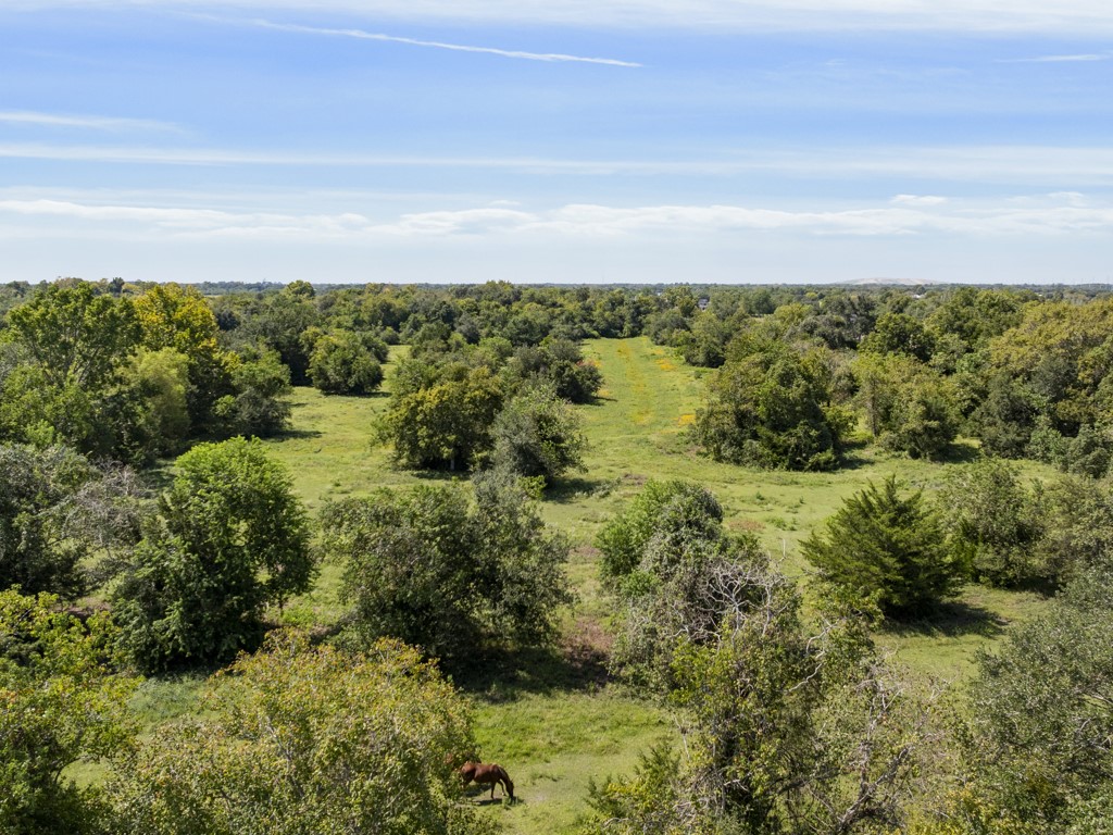 0 Tower Road Santa Fe, TX 77517 - Photo 43 of 45 a view of a yard with an outdoor space