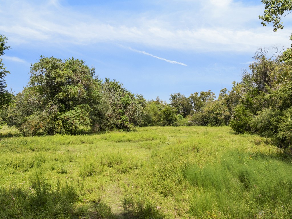 0 Tower Road Santa Fe, TX 77517 - Photo 5 of 45 a view of a large yard with lots of green space