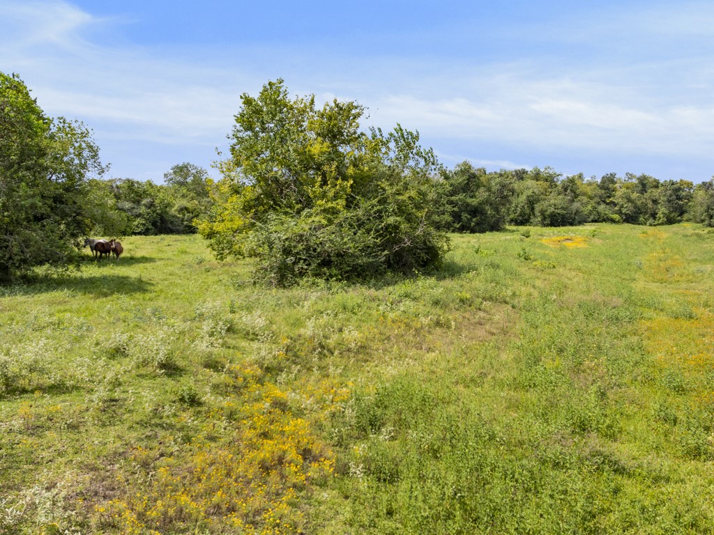 0 Tower Road Santa Fe, TX 77517 - Photo 6 of 45 a view of a garden