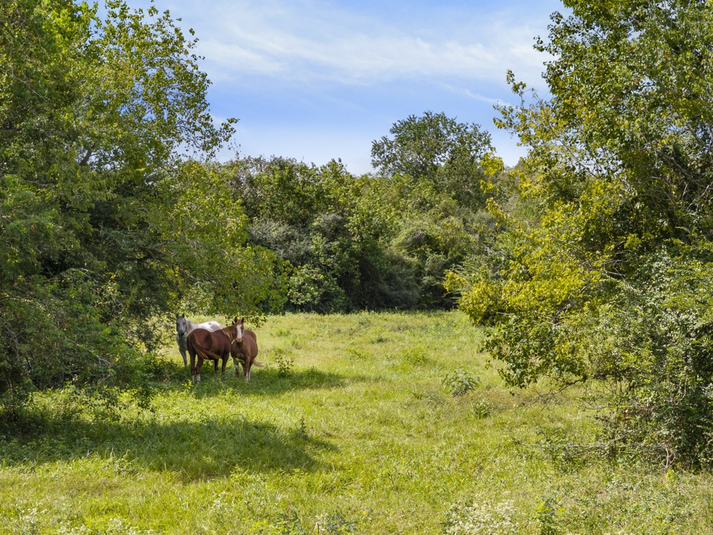 0 Tower Road Santa Fe, TX 77517 - Photo 7 of 45 a view of outdoor space and yard
