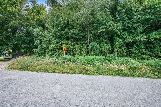 $15,000 | V/l Twin Shore Drive, Dowagiac, MI 49047