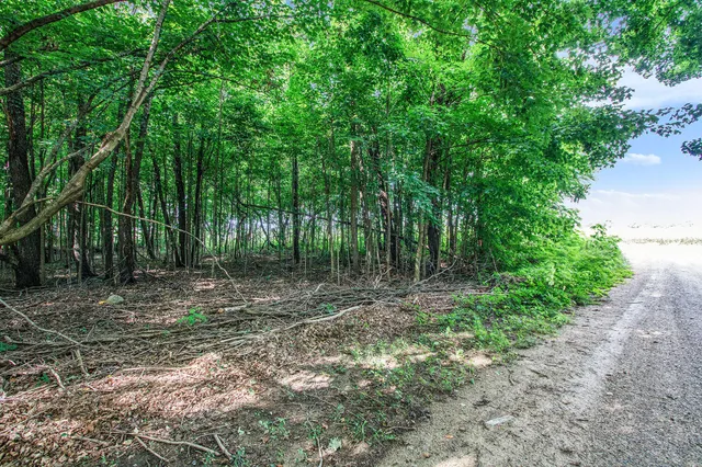 $15,000 | V/l Twin Shore Drive, Dowagiac, MI 49047