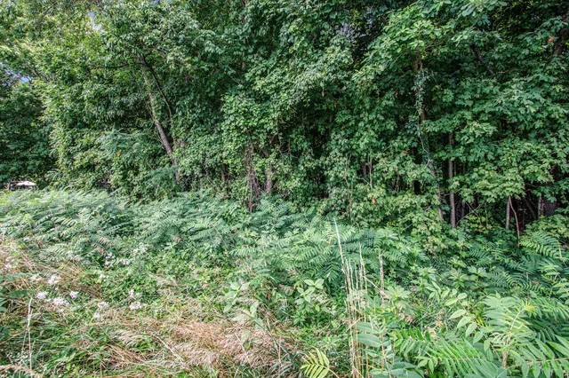 $15,000 | V/l Twin Shore Drive, Dowagiac, MI 49047