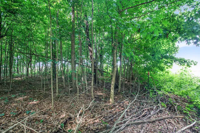 $15,000 | V/l Twin Shore Drive, Dowagiac, MI 49047