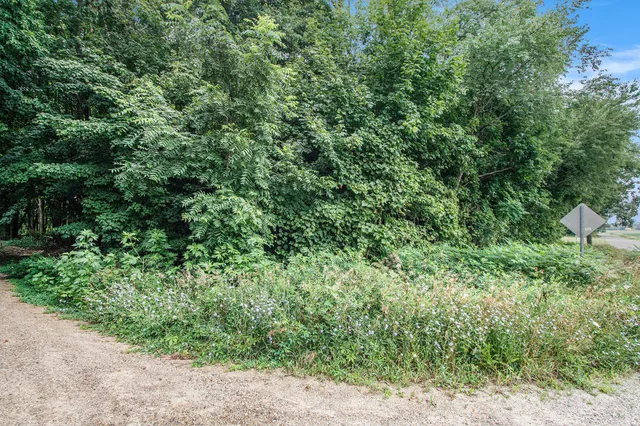 $15,000 | V/l Twin Shore Drive, Dowagiac, MI 49047