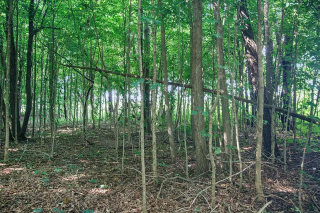 $15,000 | V/l Twin Shore Drive, Dowagiac, MI 49047