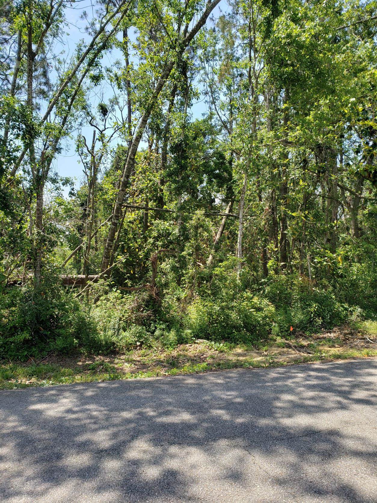 Lot 14 Hamilton Boulevard Foley, AL 36535 - Photo 1 of 1
