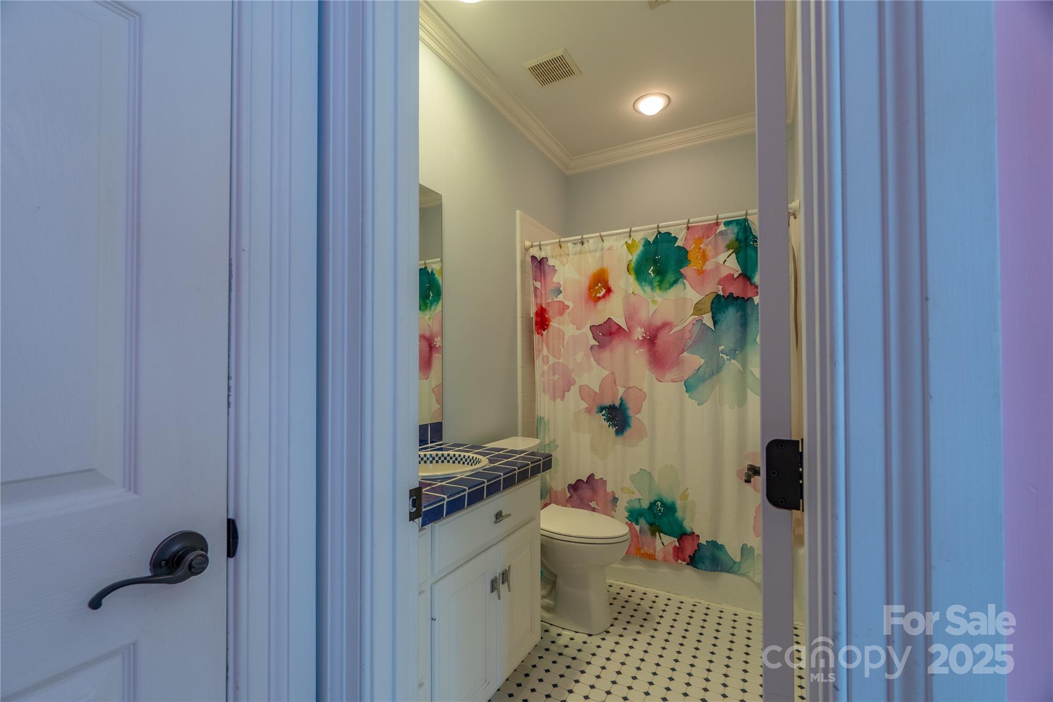 19002 Meta Road Cornelius, NC 28031 - Photo 31 of 48 a bathroom with a shower and a toilet