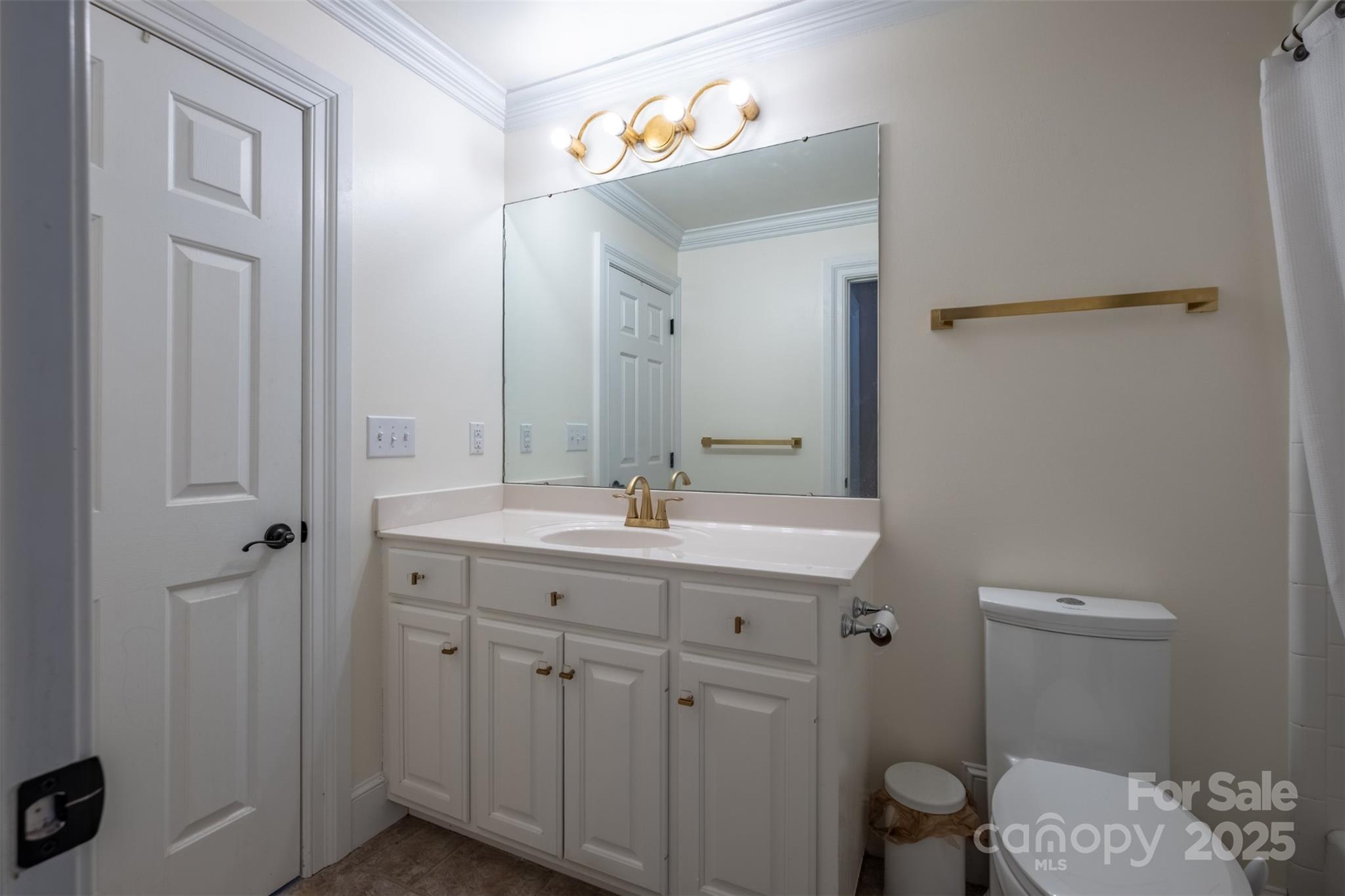 19002 Meta Road Cornelius, NC 28031 - Photo 34 of 48 a bathroom with a toilet a sink and mirror