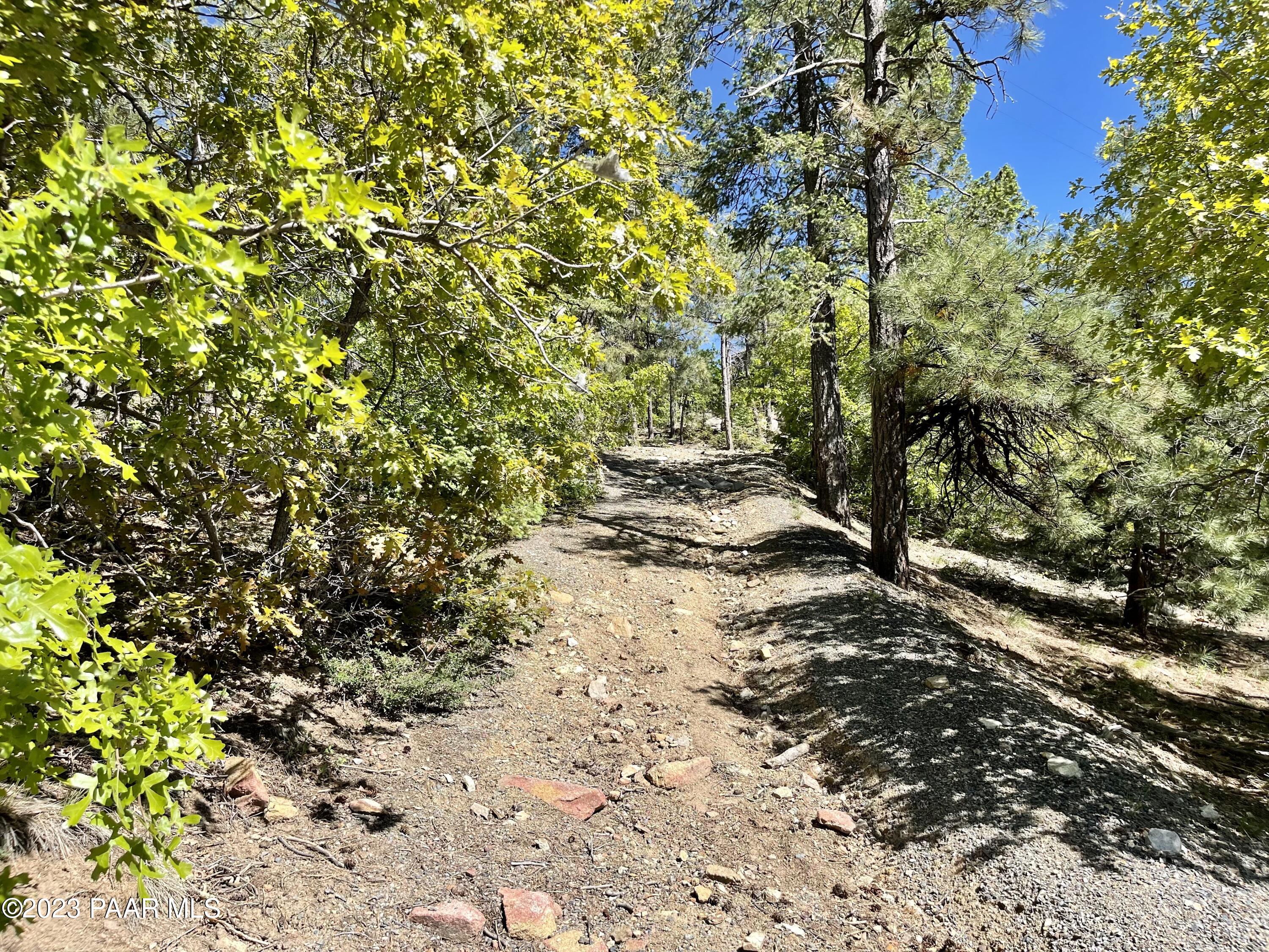 807 X Snowdrift Mine Road Prescott, AZ 86303 - Photo 1 of 22 a view of a yard with plants and trees