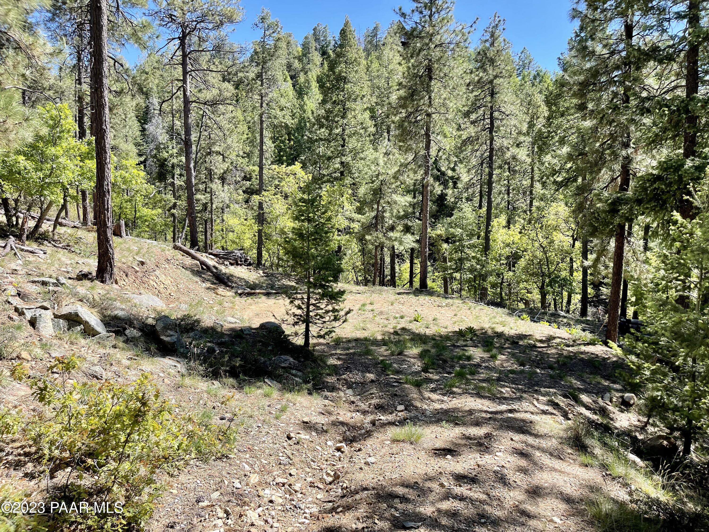 807 X Snowdrift Mine Road Prescott, AZ 86303 - Photo 11 of 22 a view of a yard with trees