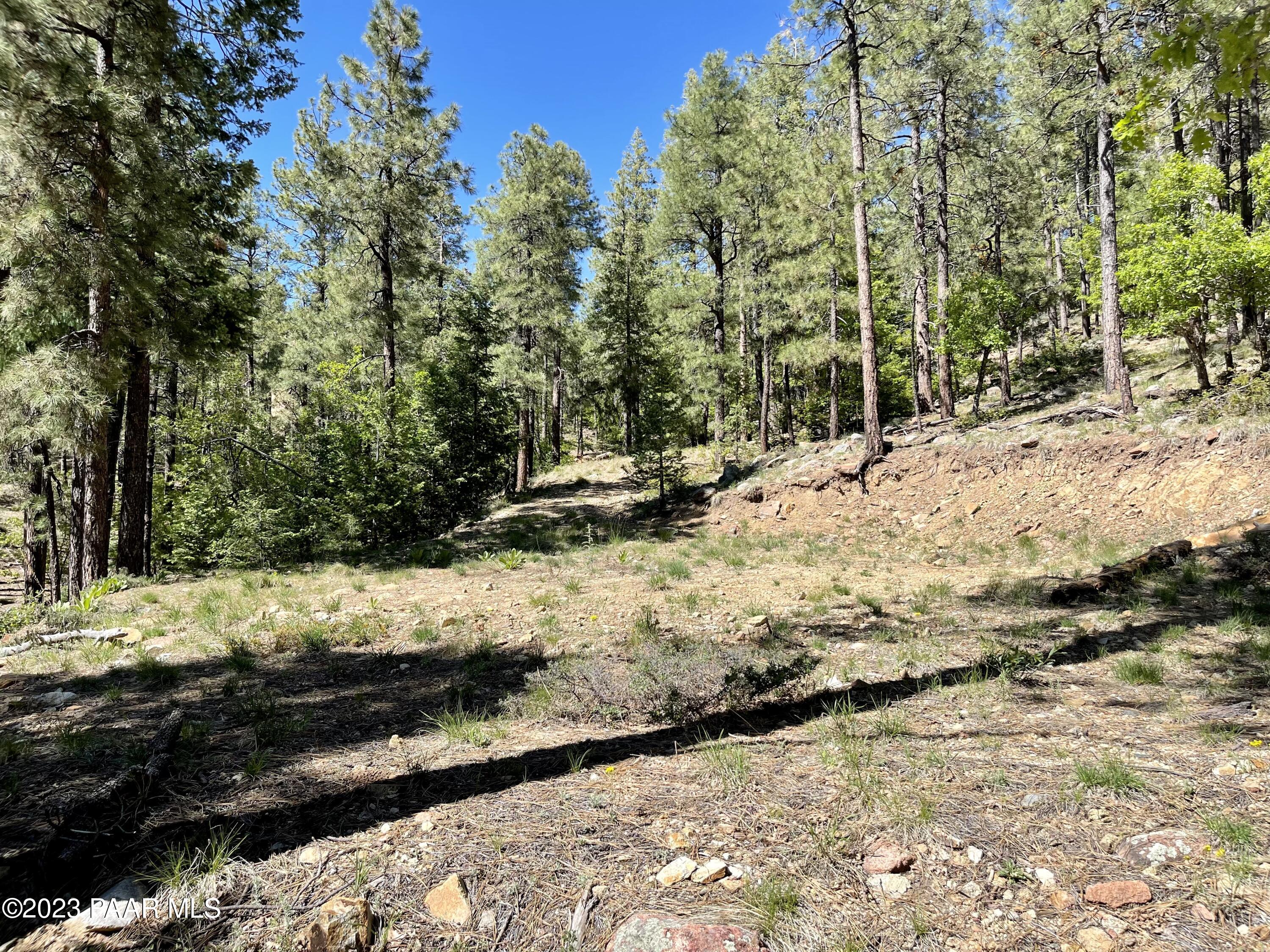 807 X Snowdrift Mine Road Prescott, AZ 86303 - Photo 14 of 22 a view of a snow in the yard