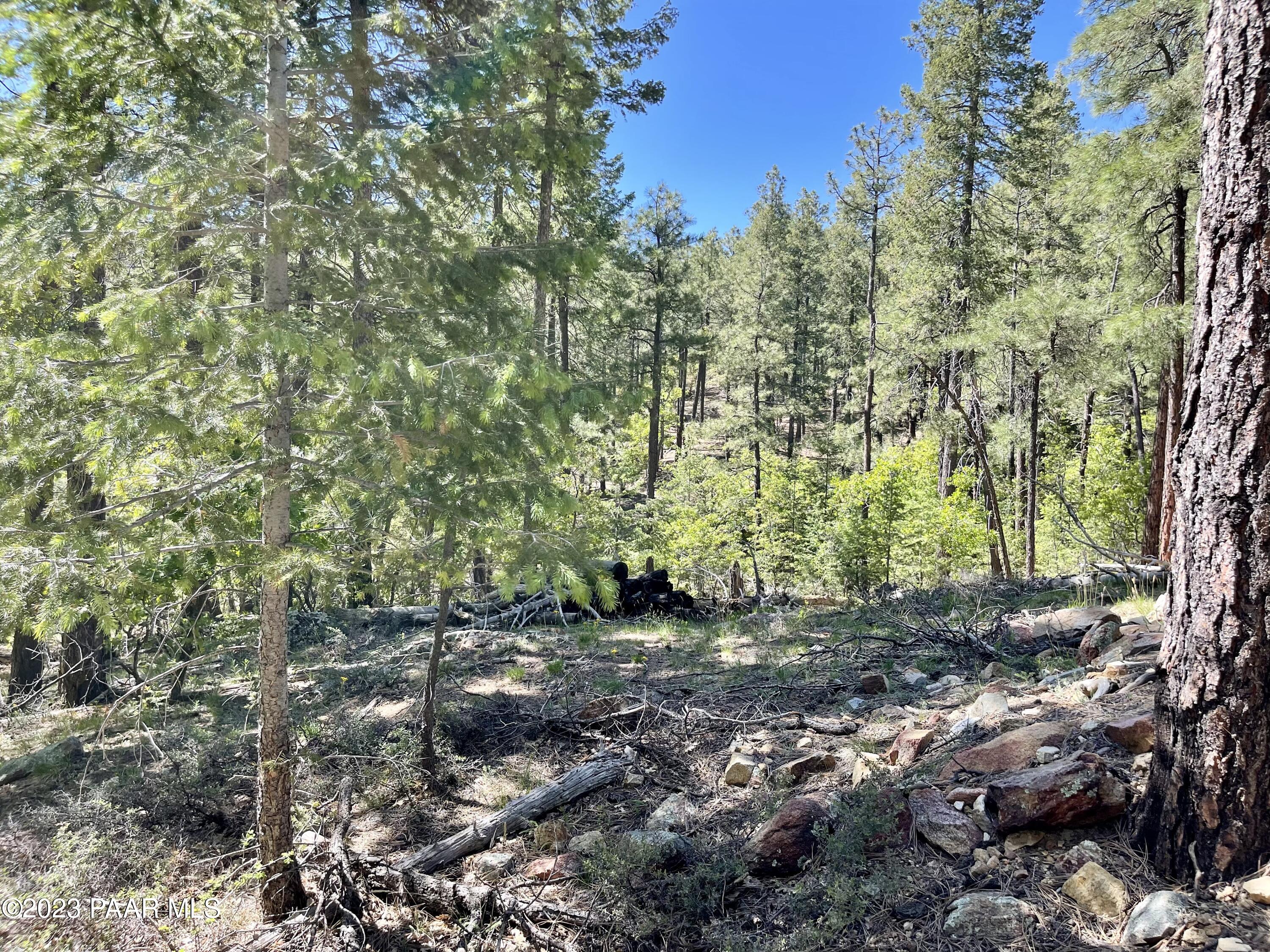 807 X Snowdrift Mine Road Prescott, AZ 86303 - Photo 15 of 22 a view of a forest with trees
