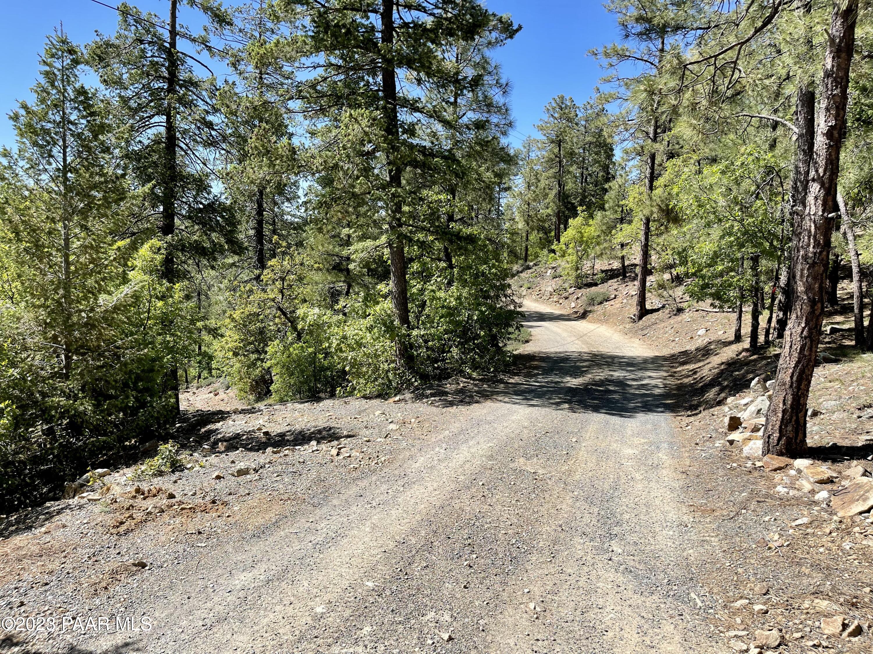 807 X Snowdrift Mine Road Prescott, AZ 86303 - Photo 17 of 22 a view of a yard with trees