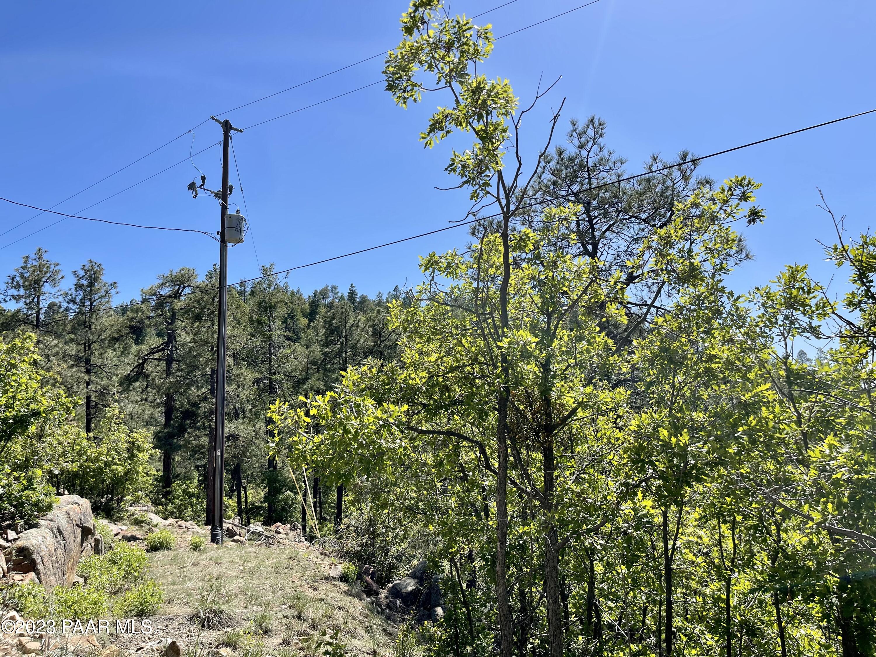 807 X Snowdrift Mine Road Prescott, AZ 86303 - Photo 19 of 22 a view of a flower in a garden