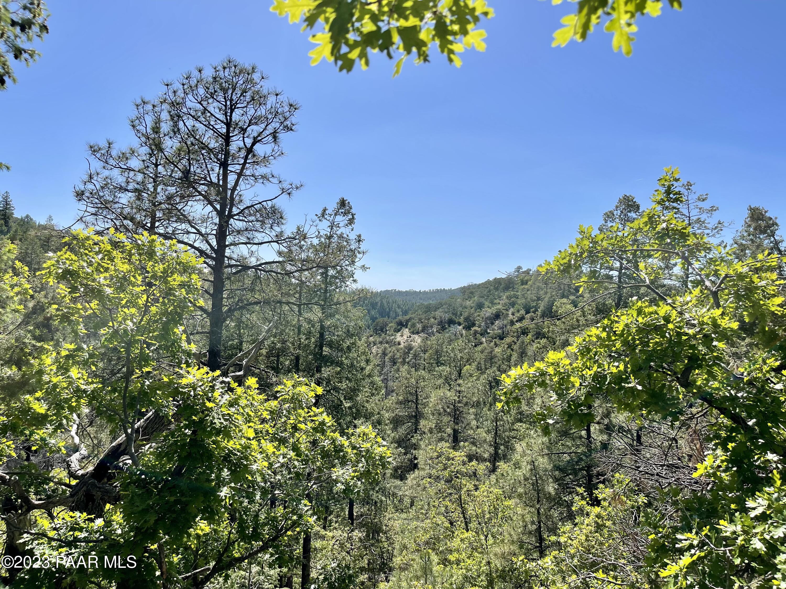807 X Snowdrift Mine Road Prescott, AZ 86303 - Photo 20 of 22 a view of a garden with a tree