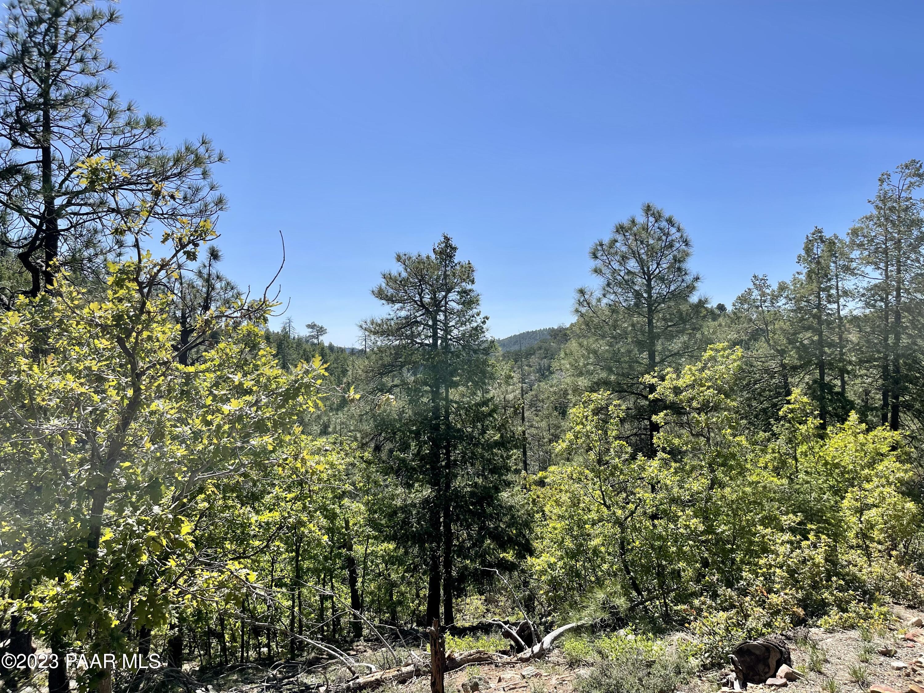 807 X Snowdrift Mine Road Prescott, AZ 86303 - Photo 3 of 22 a view of a yard with a tree in the background