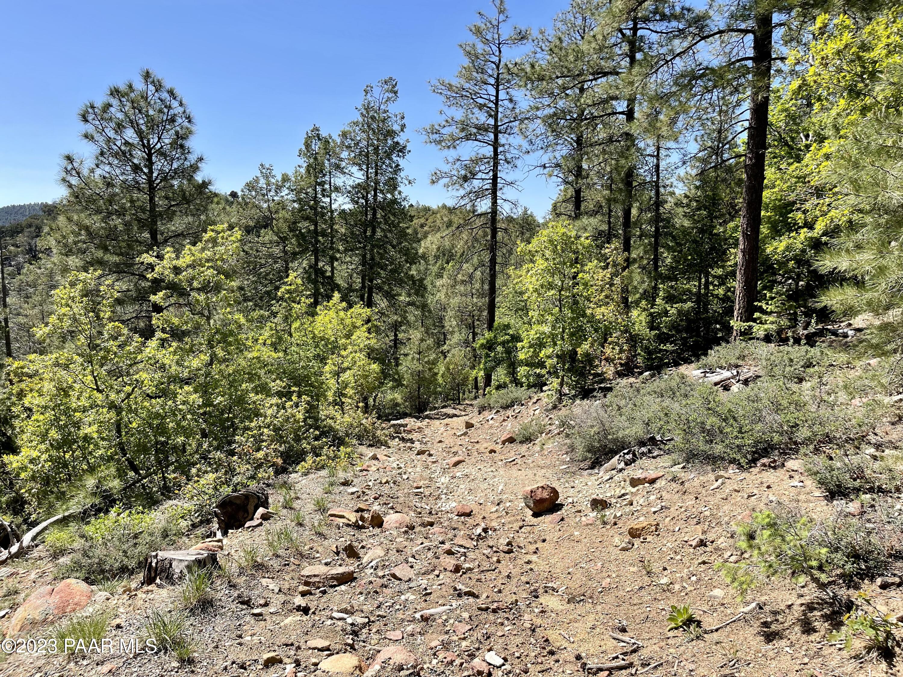 807 X Snowdrift Mine Road Prescott, AZ 86303 - Photo 4 of 22 a view of a dry yard with trees and bushes