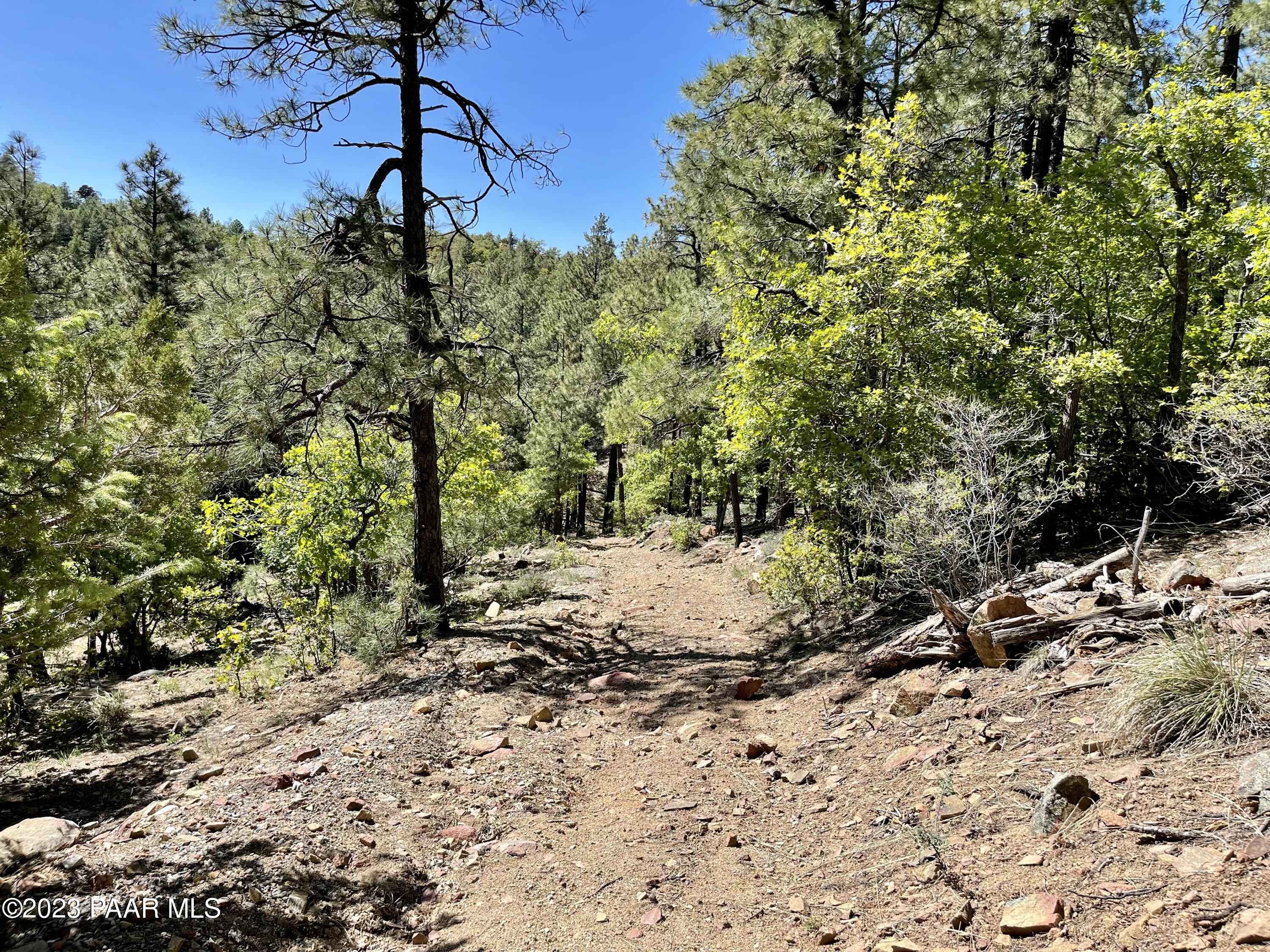 807 X Snowdrift Mine Road Prescott, AZ 86303 - Photo 6 of 22 a view of a dry yard with trees