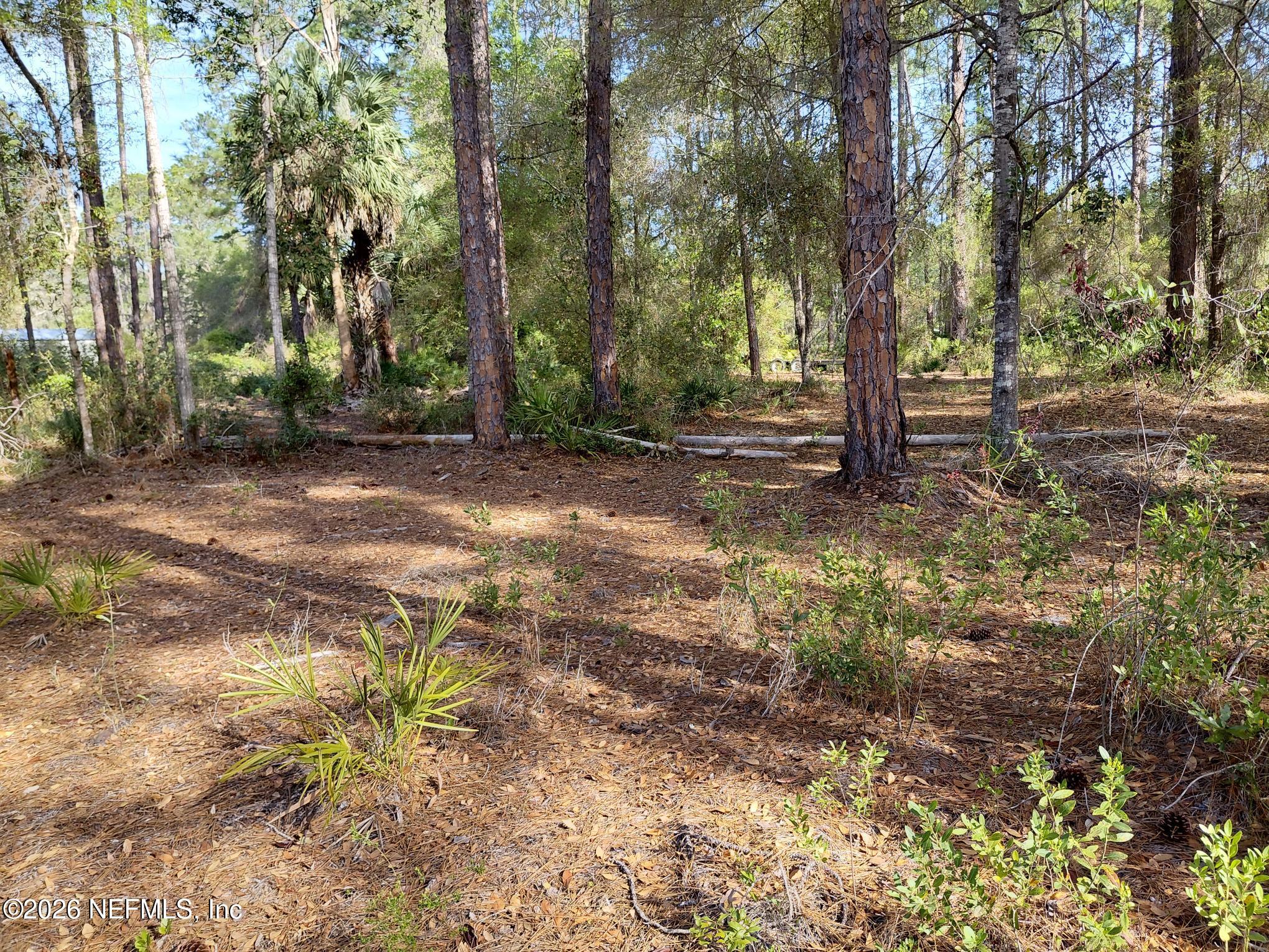 426 Carteret Road Georgetown, FL 32139 - Photo 24 of 27 426 Lot
