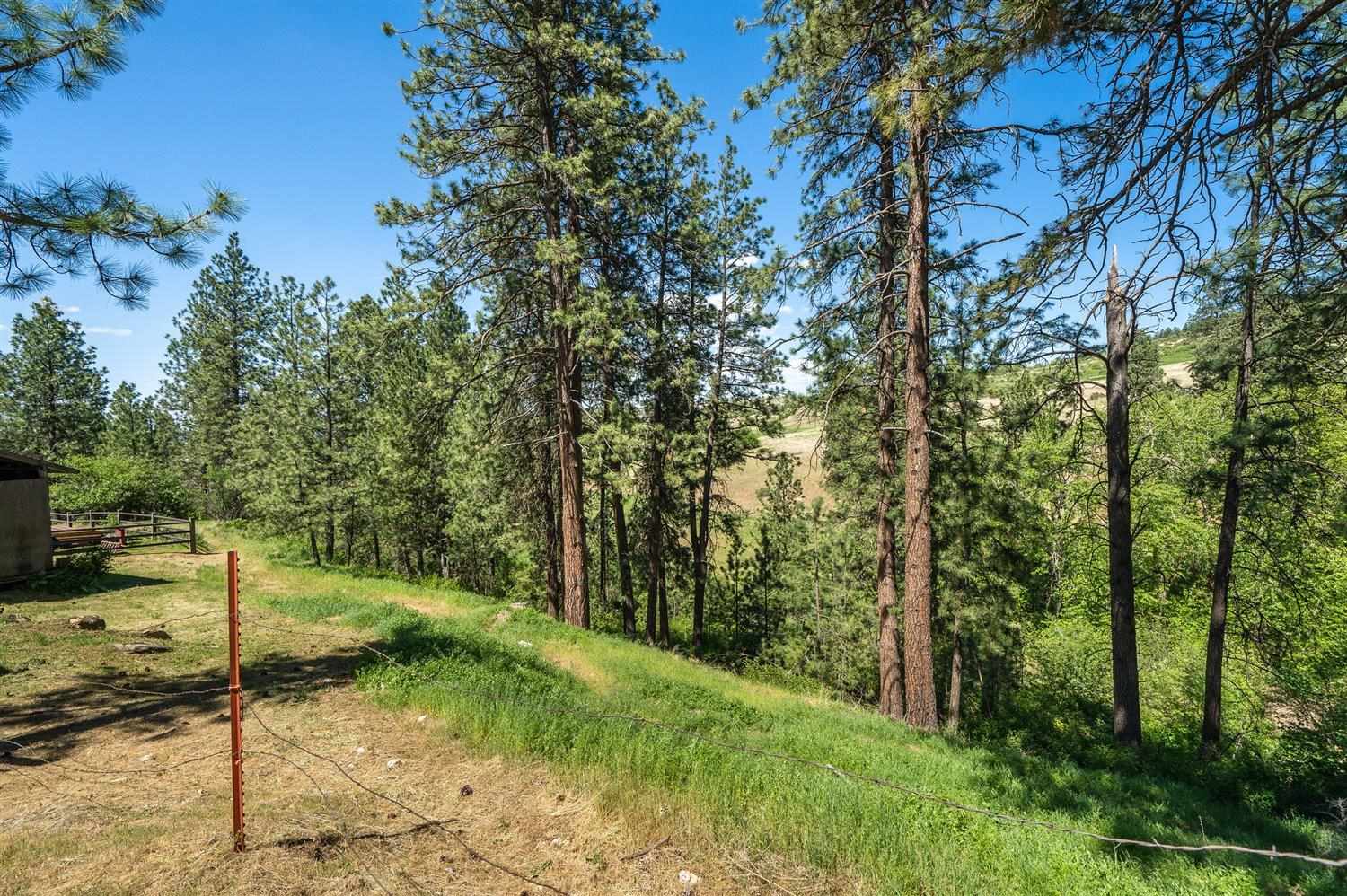 4307 South Henry Road Liberty Lake, WA 99019 - Photo 13 of 50