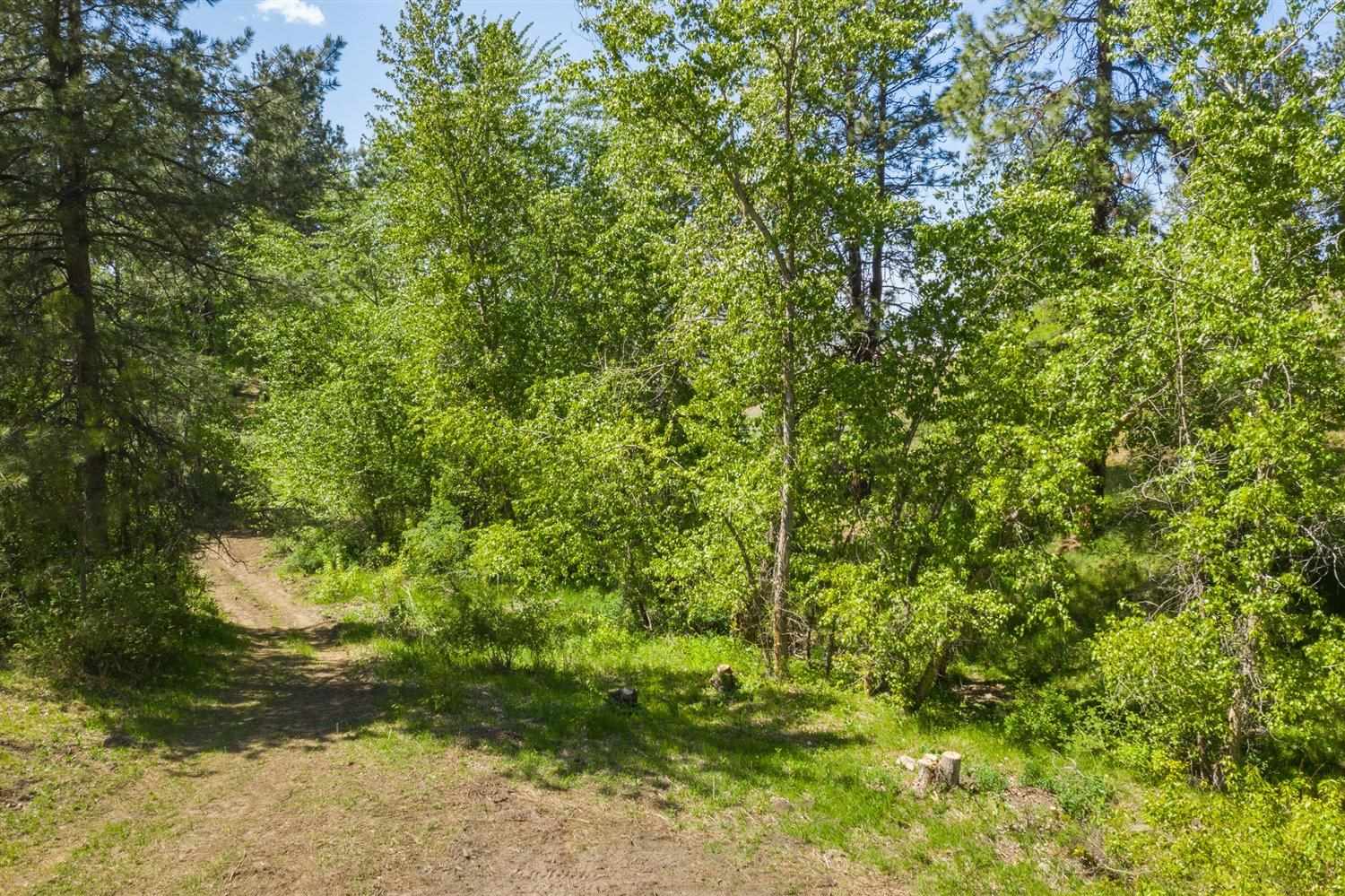 4307 South Henry Road Liberty Lake, WA 99019 - Photo 10 of 50
