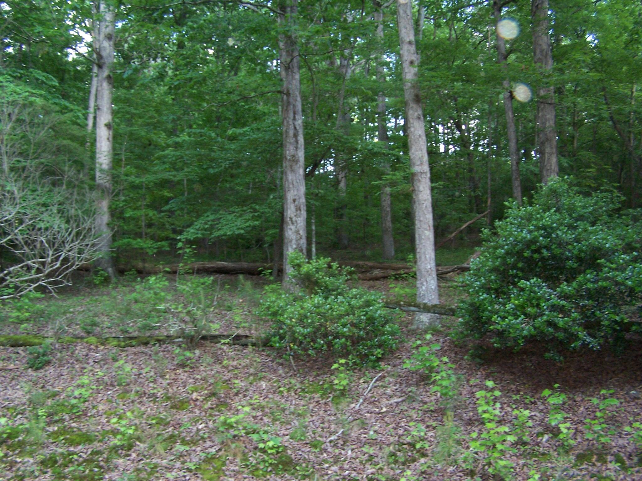 1511 Monroe Green Road Trion, GA 30753 - Photo 5 of 6 100_2158