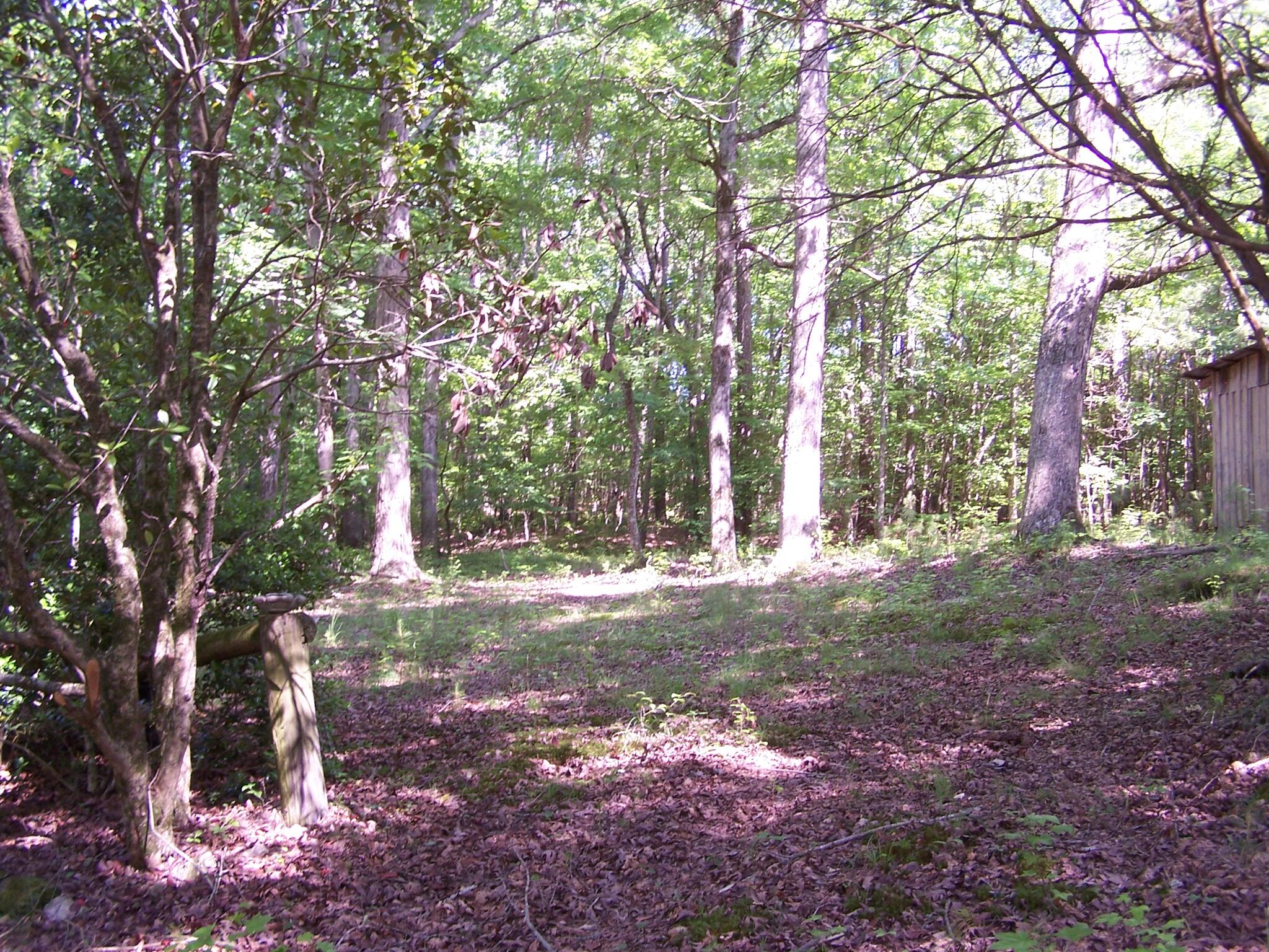 1511 Monroe Green Road Trion, GA 30753 - Photo 6 of 6 100_2167