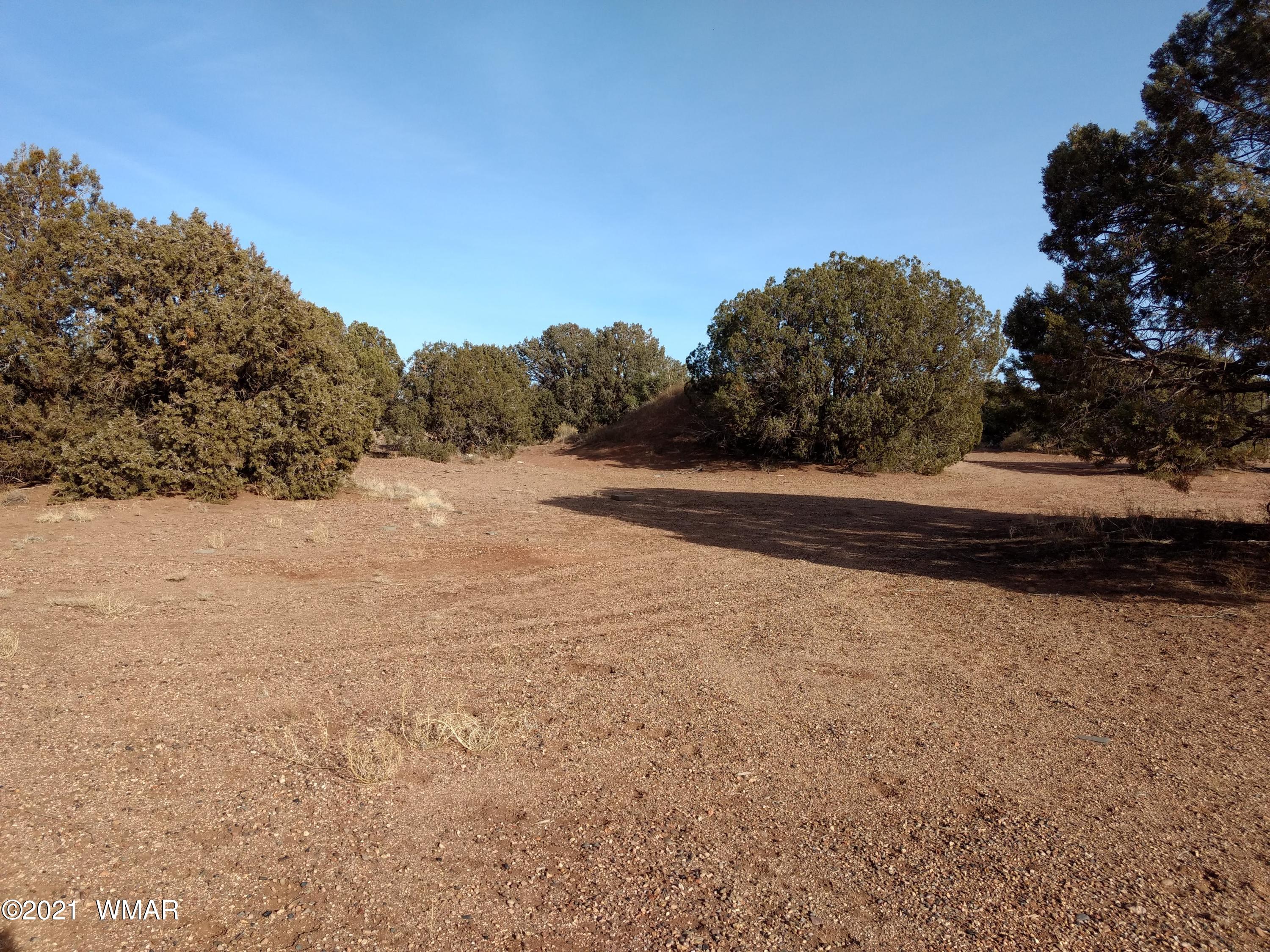 4343 East Pinto Road Snowflake, AZ 85937 - Photo 1 of 17 a view of dirt field with trees in background