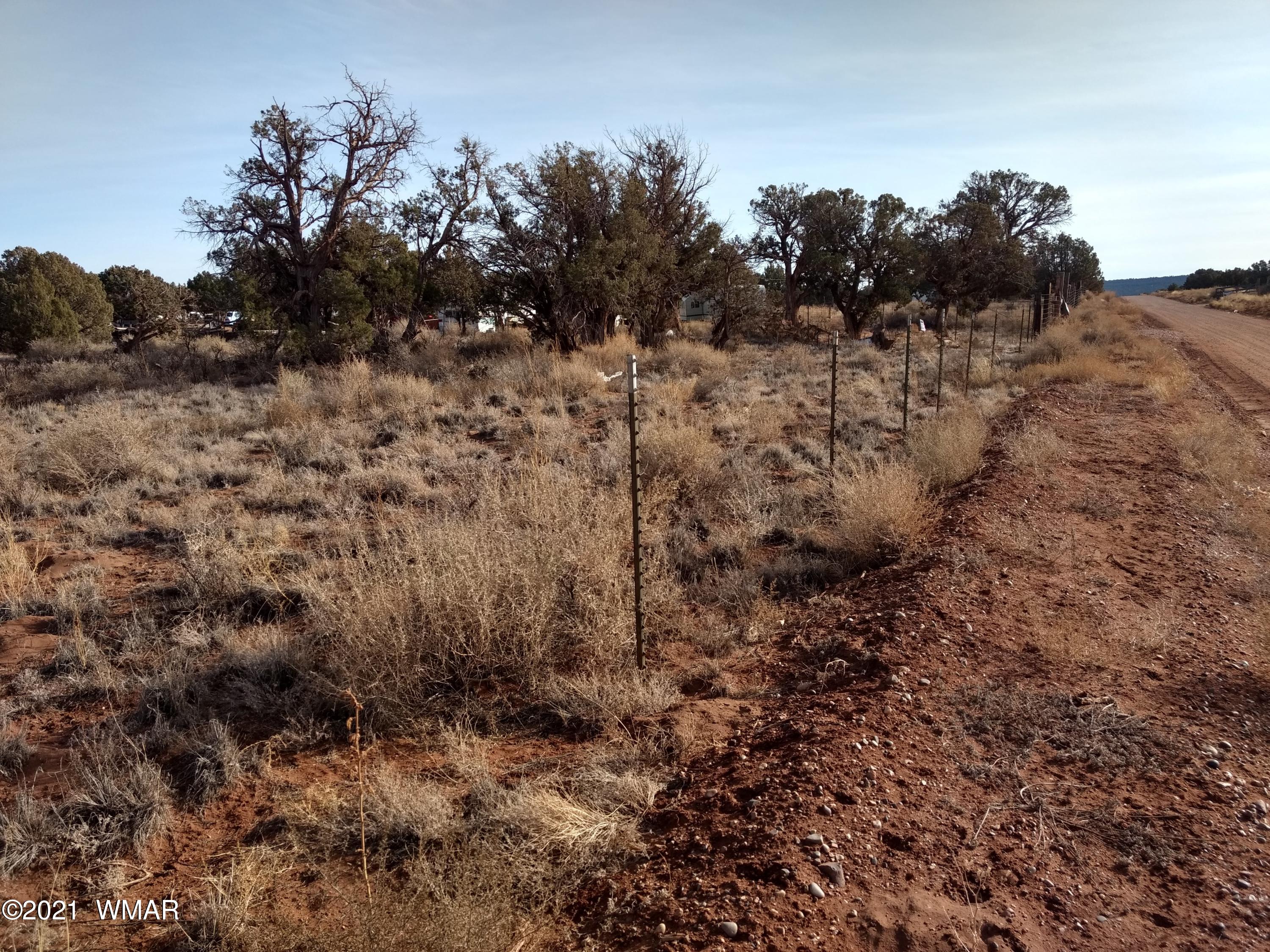 4343 East Pinto Road Snowflake, AZ 85937 - Photo 12 of 17 a view of a dry yard with trees