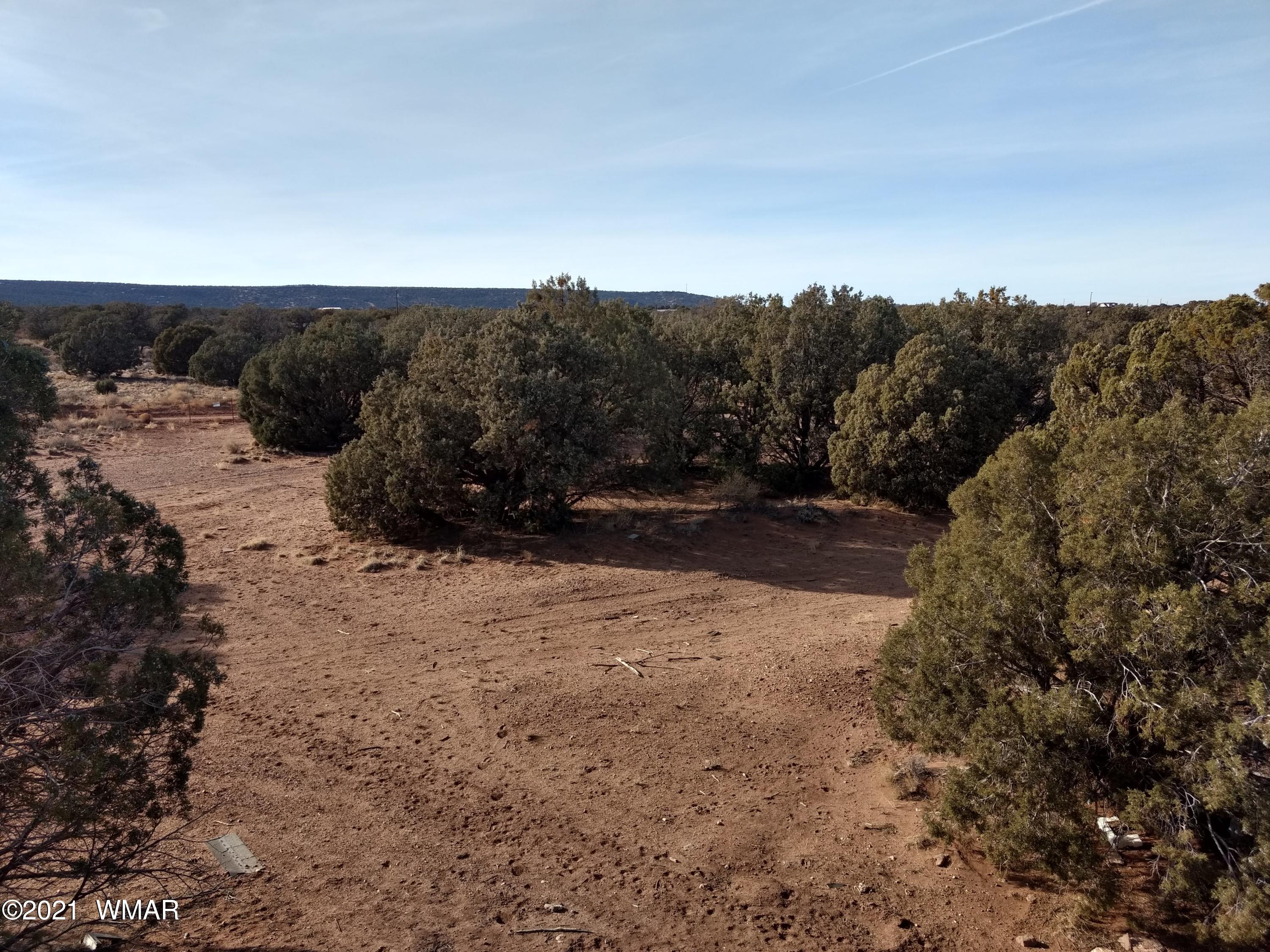 4343 East Pinto Road Snowflake, AZ 85937 - Photo 2 of 17 a view of outdoor space with mountain view
