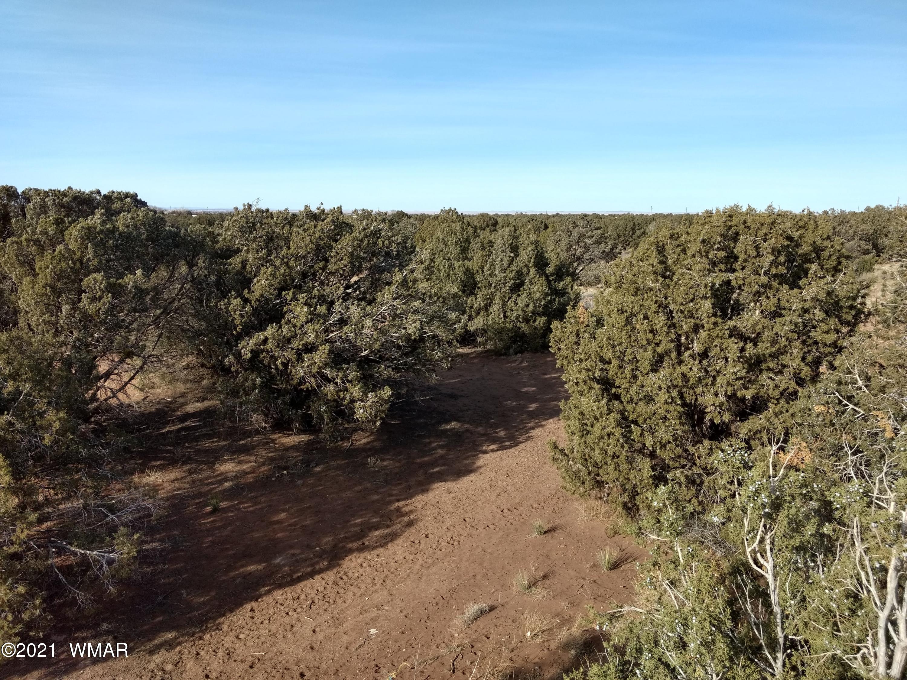 4343 East Pinto Road Snowflake, AZ 85937 - Photo 3 of 17 a view of a road with a building in background