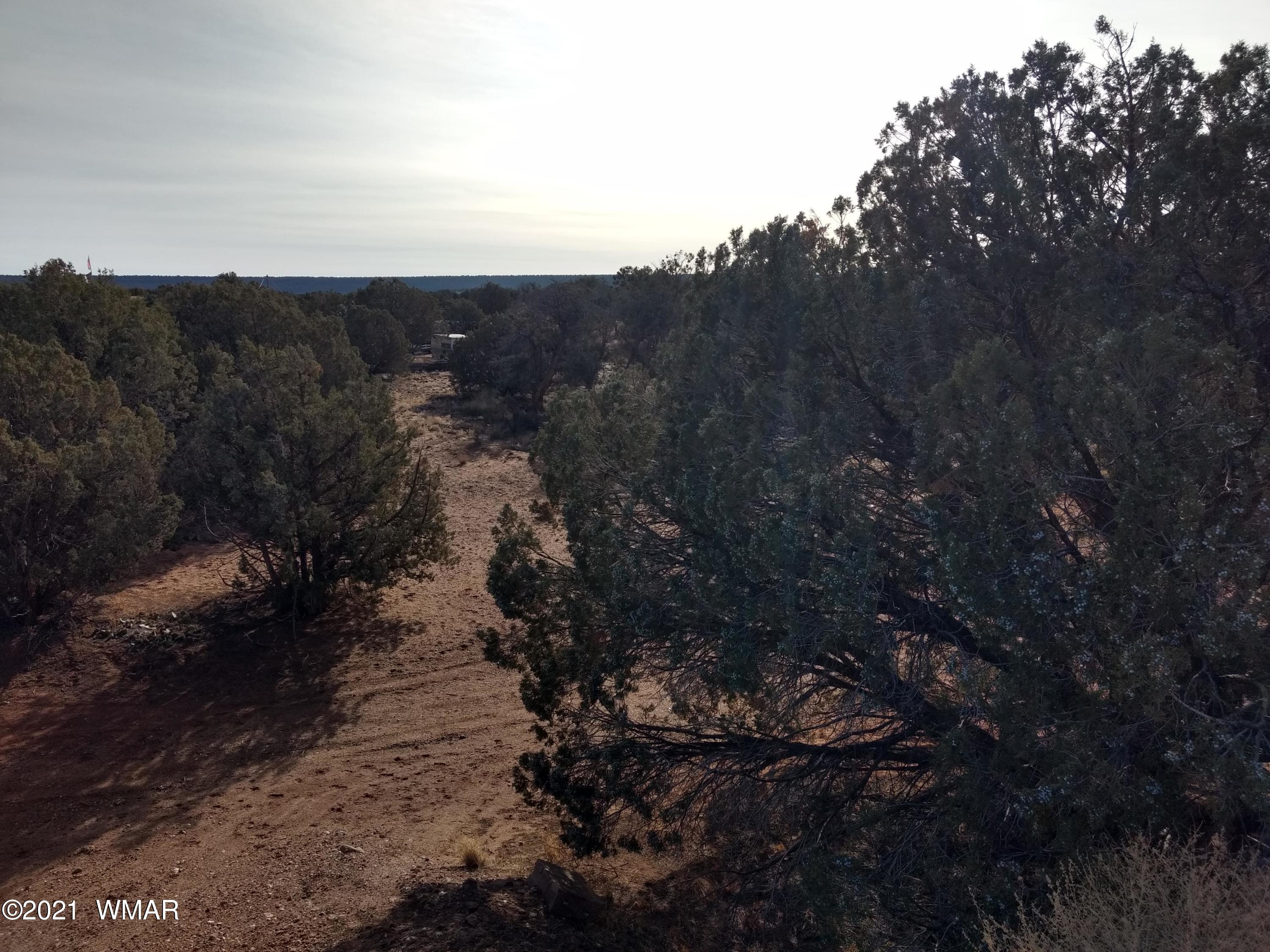 4343 East Pinto Road Snowflake, AZ 85937 - Photo 5 of 17 a view of a city with lush green forest
