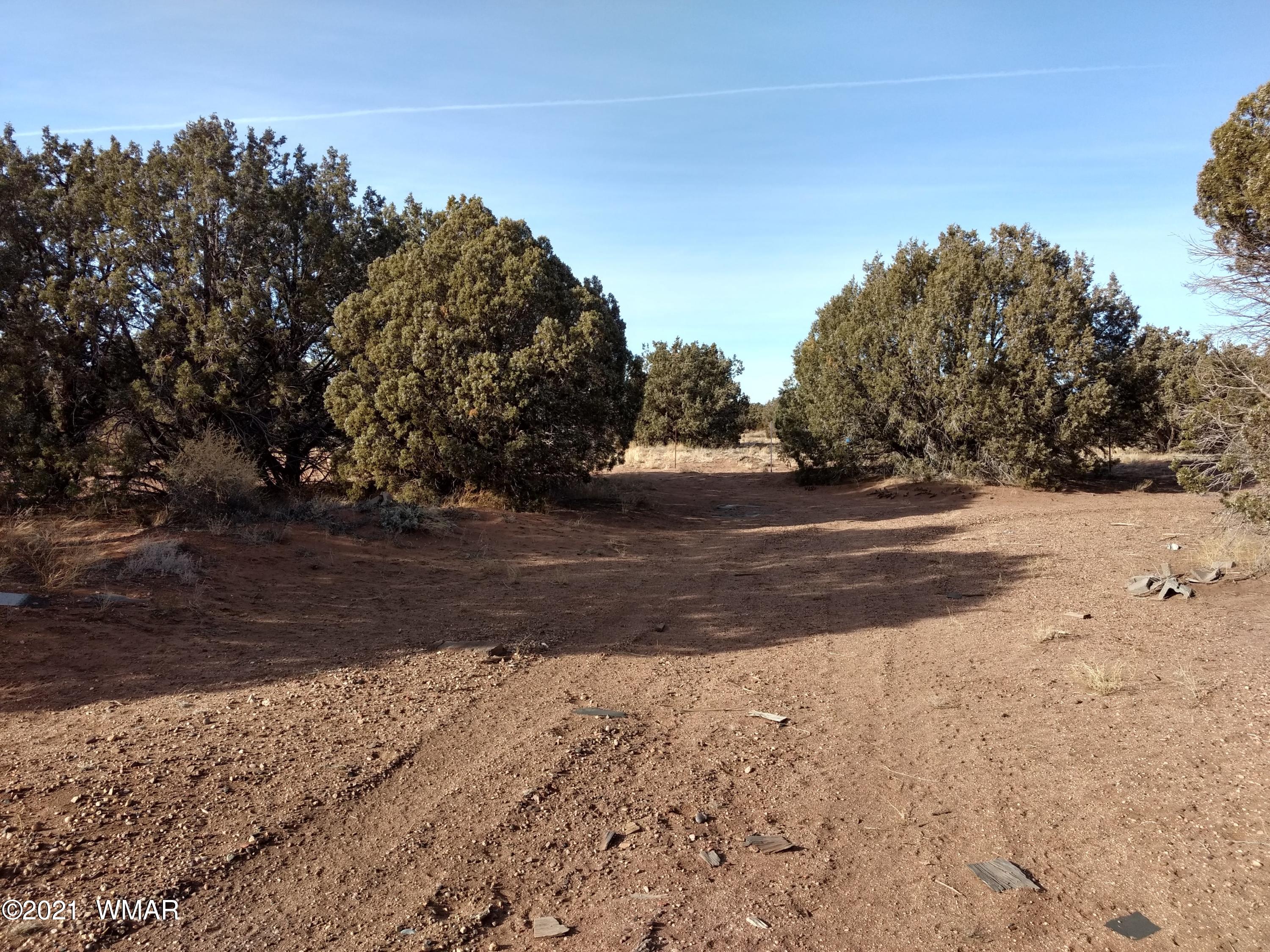 4343 East Pinto Road Snowflake, AZ 85937 - Photo 6 of 17 a view of dirt yard with a large tree