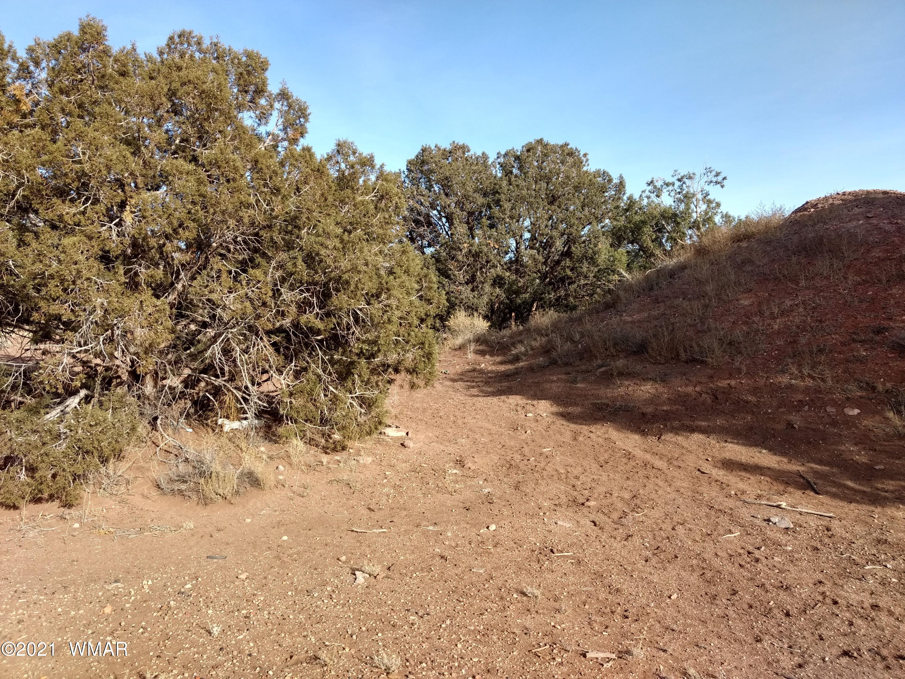 4343 East Pinto Road Snowflake, AZ 85937 - Photo 7 of 17 a view of a dry yard with trees in the background
