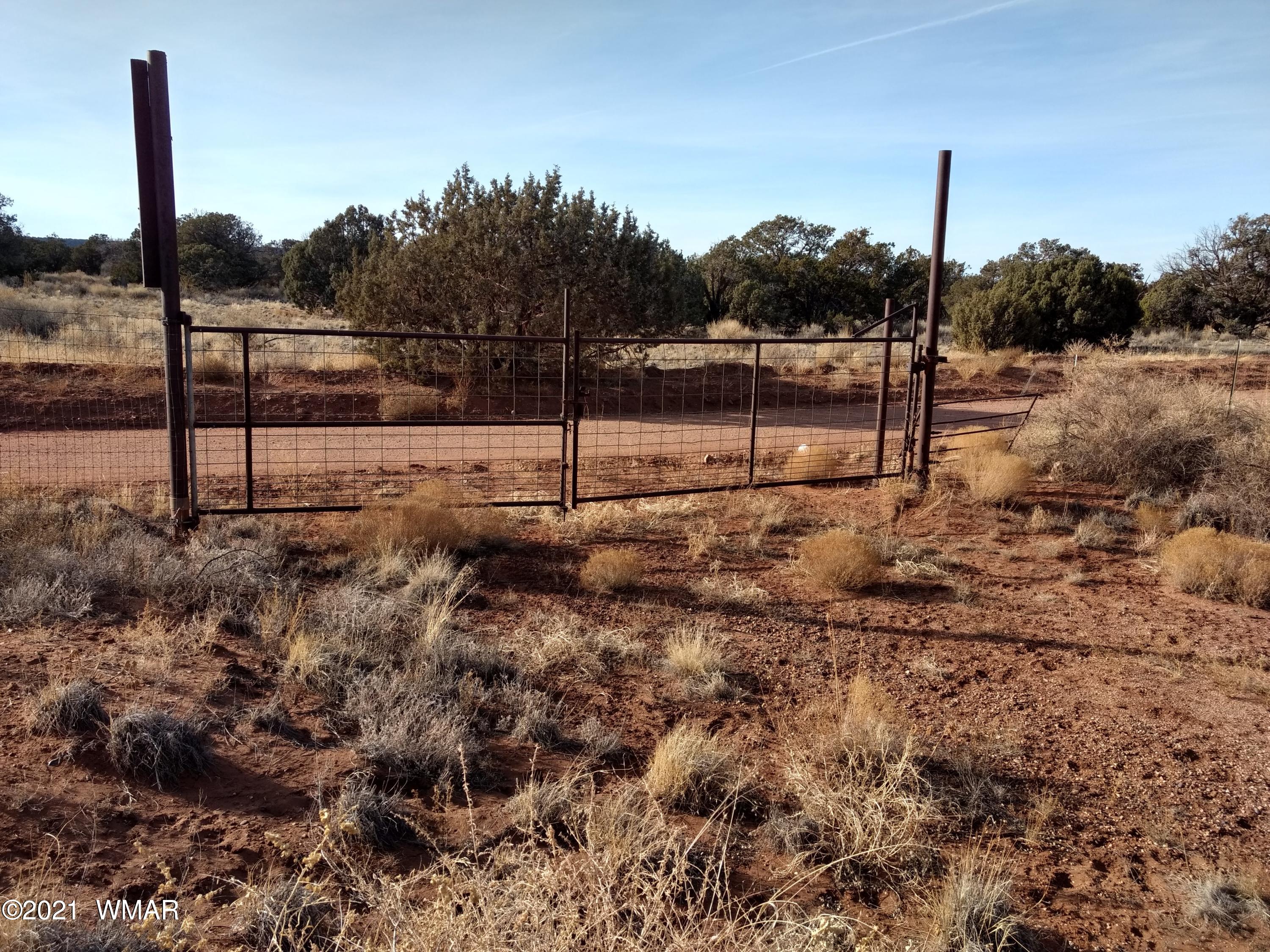 4343 East Pinto Road Snowflake, AZ 85937 - Photo 8 of 17 a view of a park