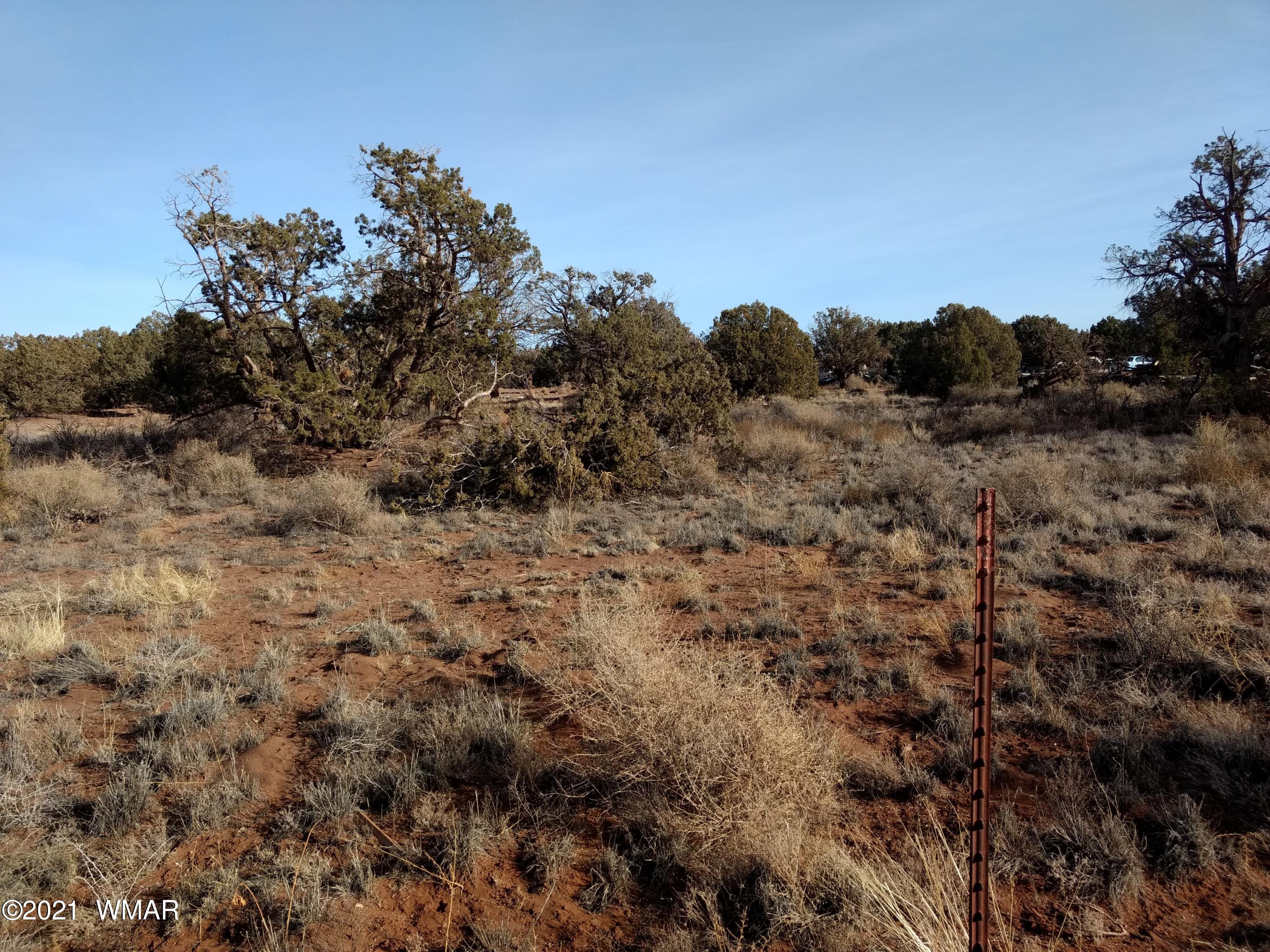 4343 East Pinto Road Snowflake, AZ 85937 - Photo 9 of 17 a view of a dry field with trees in the background